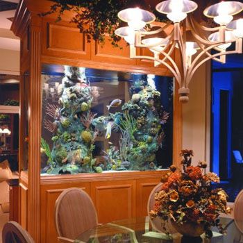 images_Lifestyle_Homes_decorating_your_home_with_beautiful_aquarium_design_ideas
