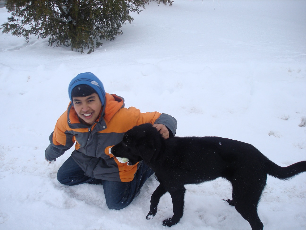 images_Lifestyle_Teens_Adopt-a-pet to support your local animal shelter centre - Its fun playing with a pet