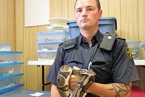 images_News_Canada_ii-pythons-james