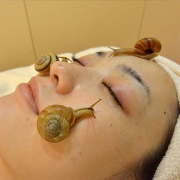 images_Lifestyle_Fashion_snail_facials_to_improve_skin_health_via_mucus_trail