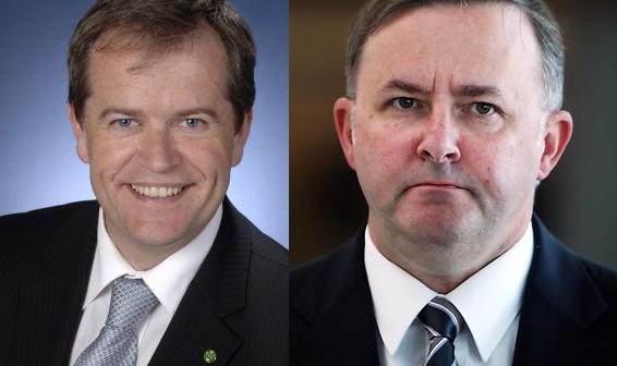 images_News_Australia_Albanese Shorten