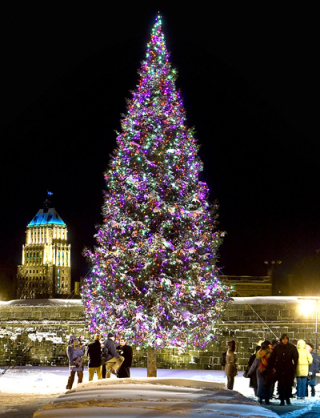 images_News_Canada_tree