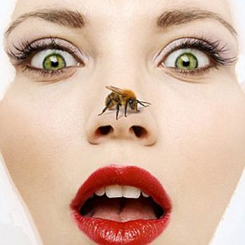 images_Lifestyle_Fashion_bee_venom_facials