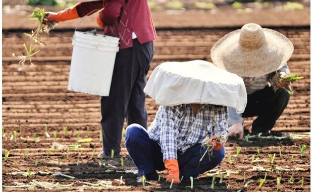 Mulcair Reacts to Harper’s Criticism of Foreign Workers Program