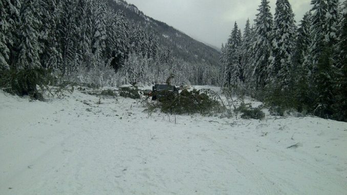 RCMP Ends Closure of Hwy 16, near Mt. Robson, Prompted by Avalanche