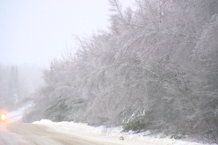 images_News_Canada_nb-ice-storm-ocvo