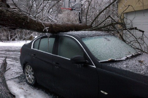 images_News_Canada_tree-on-car-NEW-473x315