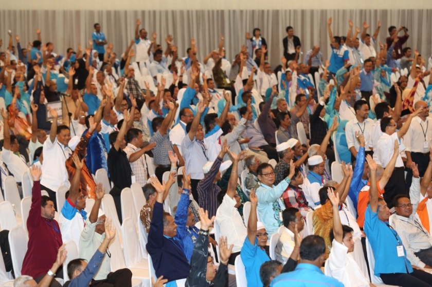 images_News_Asia_delegates_PKR_national_congress_2411_840_559_100