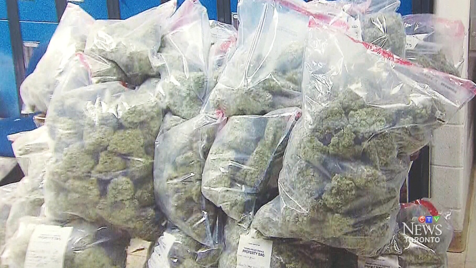 images_News_Canada_drugbust