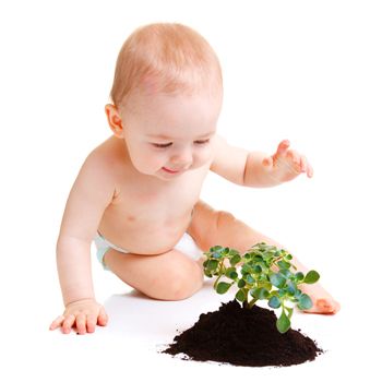 images_Tabloid_Relationships_Are_Babies_Afraid_of_Plants