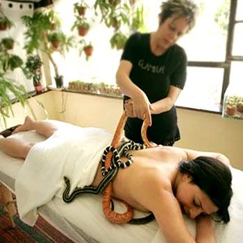 images_Lifestyle_Fashion_snake_massage