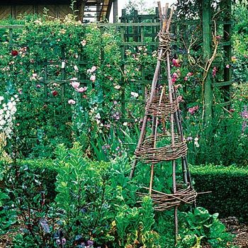 images_Lifestyle_Homes_Build_A_Tipi_For_Climbing_Plants
