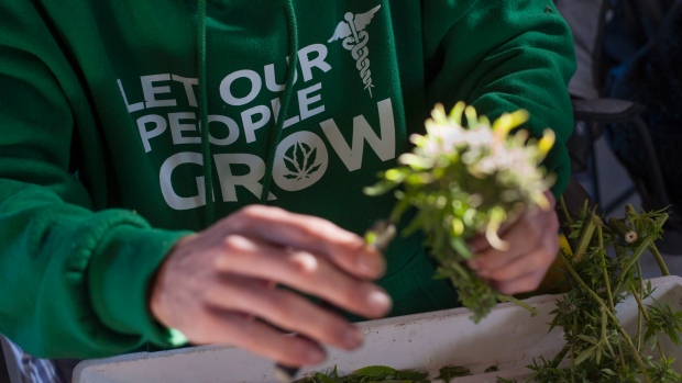 images_News_Canada_marijuana_copy_copy