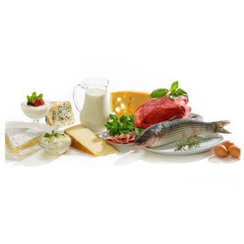 images_Lifestyle_Health_is_there_such_a_thing_as_too_much_protein