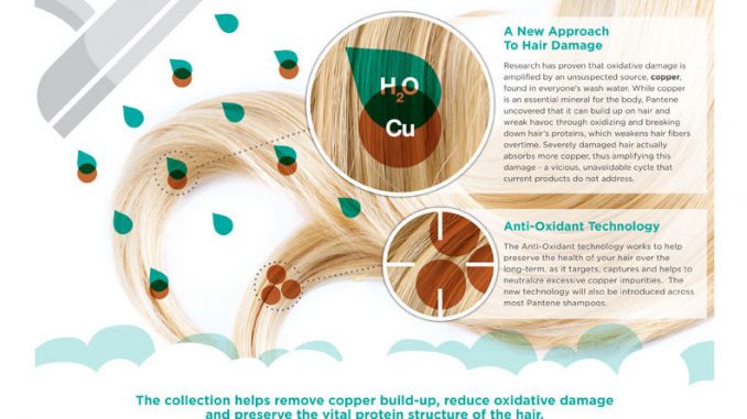 images_Lifestyle_Fashion_damage-detox-visual-fact-sheet---final---low-res