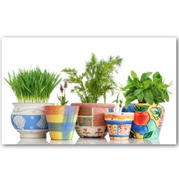 images_Lifestyle_Homes_10_great_containers