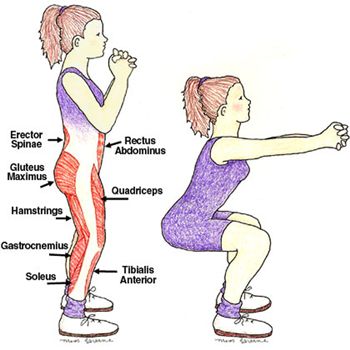 images_Lifestyle_Health_squat