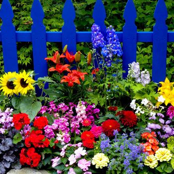 images_Lifestyle_Homes_2014_02_summer_flowers_wallpaper_4
