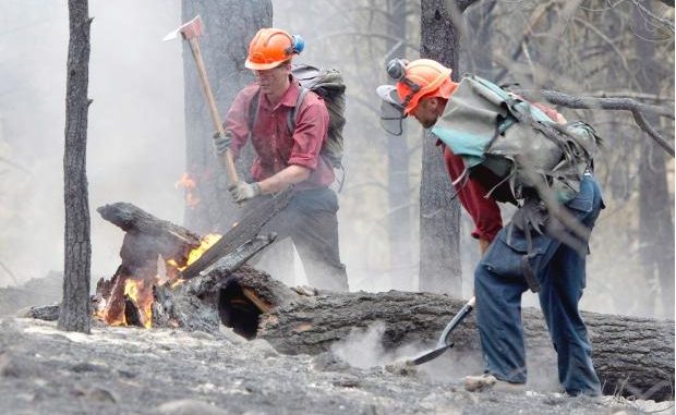 Rainfall, Cool Weather Help Contain Wildfires in B.C.