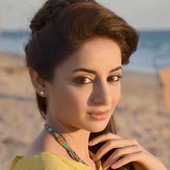 Sarwat Gillani Sarwat Gillani