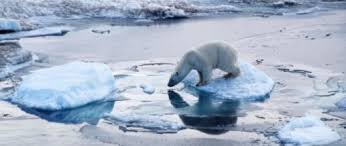 images_Lifestyle_Science_Climate change