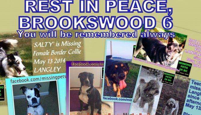 images_News_Canada_rip-brookswood-6-668x417