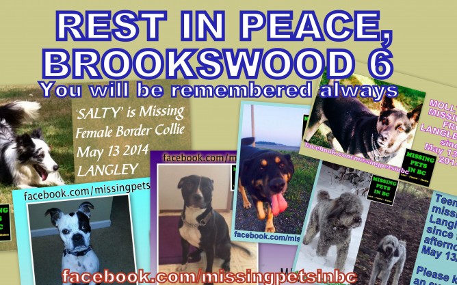 images_News_Canada_rip-brookswood-6-668x417
