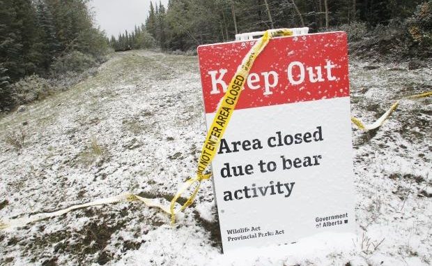 Police Finds Missing Hunter Died After Grizzly Bear Attack