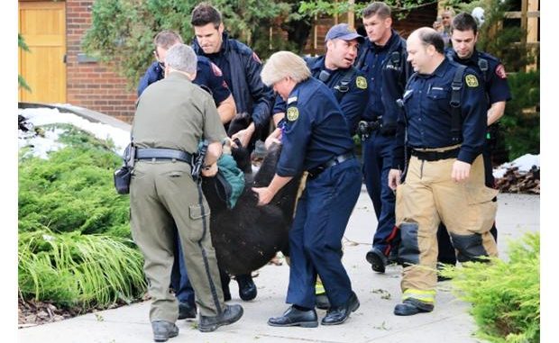 images_News_Canada_10198657