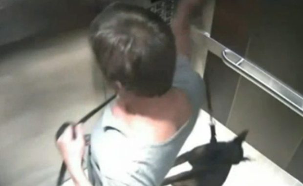 Centerplate CEO, Hague, Recorded While Kicking Puppy Resigns