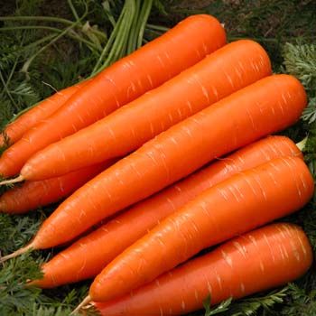 images_Lifestyle_Health_carrots