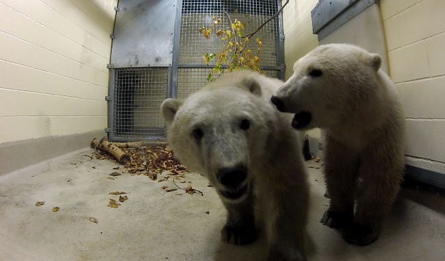 images_News_Canada_1297613532891_ORIGINAL