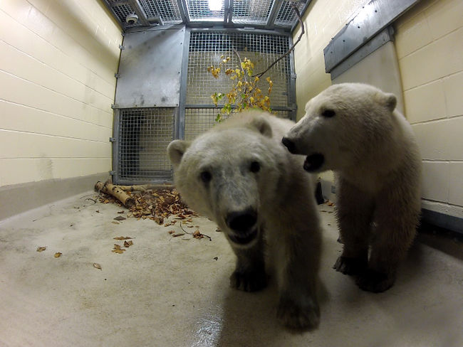images_News_Canada_1297613532891_ORIGINAL