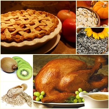 images_Lifestyle_Health_Nuts_and_Fruits_in_the_Winters