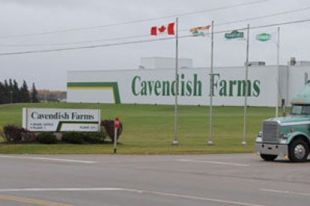 images_News_Canada_potatos