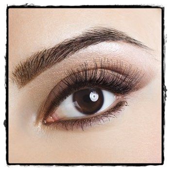 images_Lifestyle_Fashion_Eyebrow_Tips