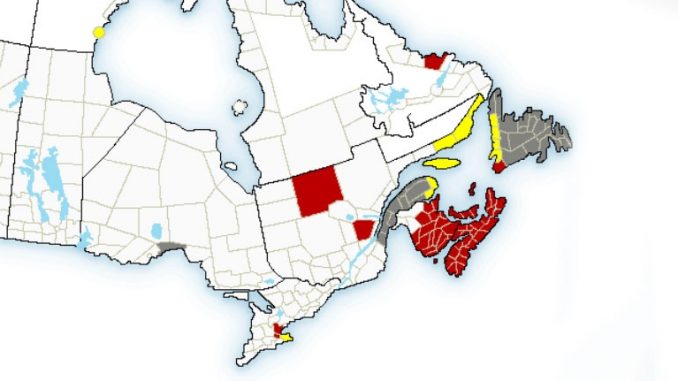 N.S., P.E.I., Parts of N.B. Under Blizzards Warning