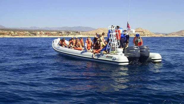 images_News_Canada_web-whale2