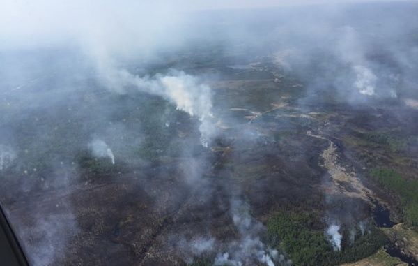 Hazardous Alberta Wildfires Start Getting Under Control