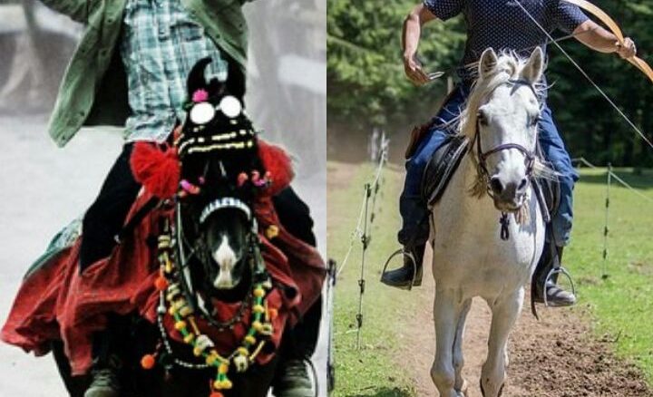 images_Cinema_Masala_PhotoGrid_1438950330250