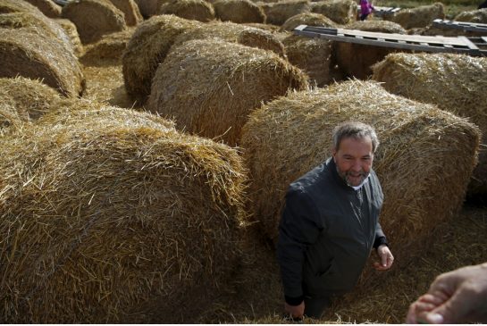 images_News_England_mulcair-in-the-hay.jpg.size.xxlarge.letterbox