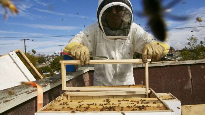 More Sectors Demand Exemption to Foreign Worker Restrictions