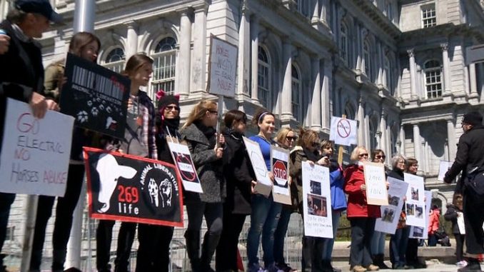 Montreal Protesters Demand Ban on Horse-Drawn Carriages Montreal Protesters Demand Ban on Horse-Drawn Carriages
