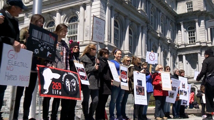 images_News_Canada_protest-montreal