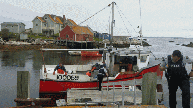 Woman Dies After Falling in Waters near Peggys Cove