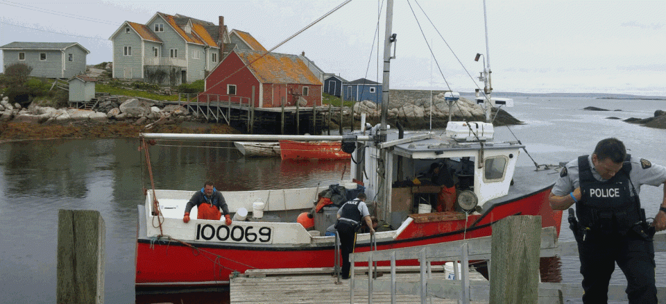 woman dies after falling in waters near peggys cove