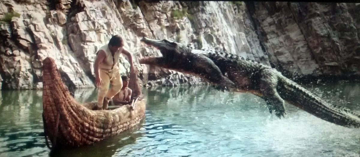 images_Cinema_Masala_croc 1