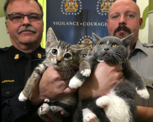 images_News_Canada_1297743068024_ORIGINAL