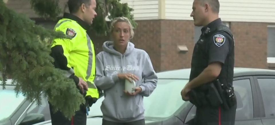 two dogs killed after attacking women in ottawa