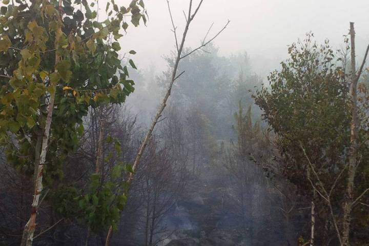 images_News_Canada_greenfield-fire